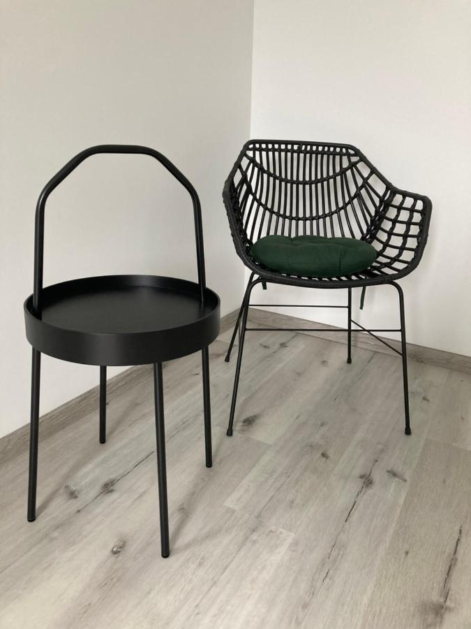 Apartment Kamienica Nad Malta- Mieszkania Nad Jeziorem Maltanskim