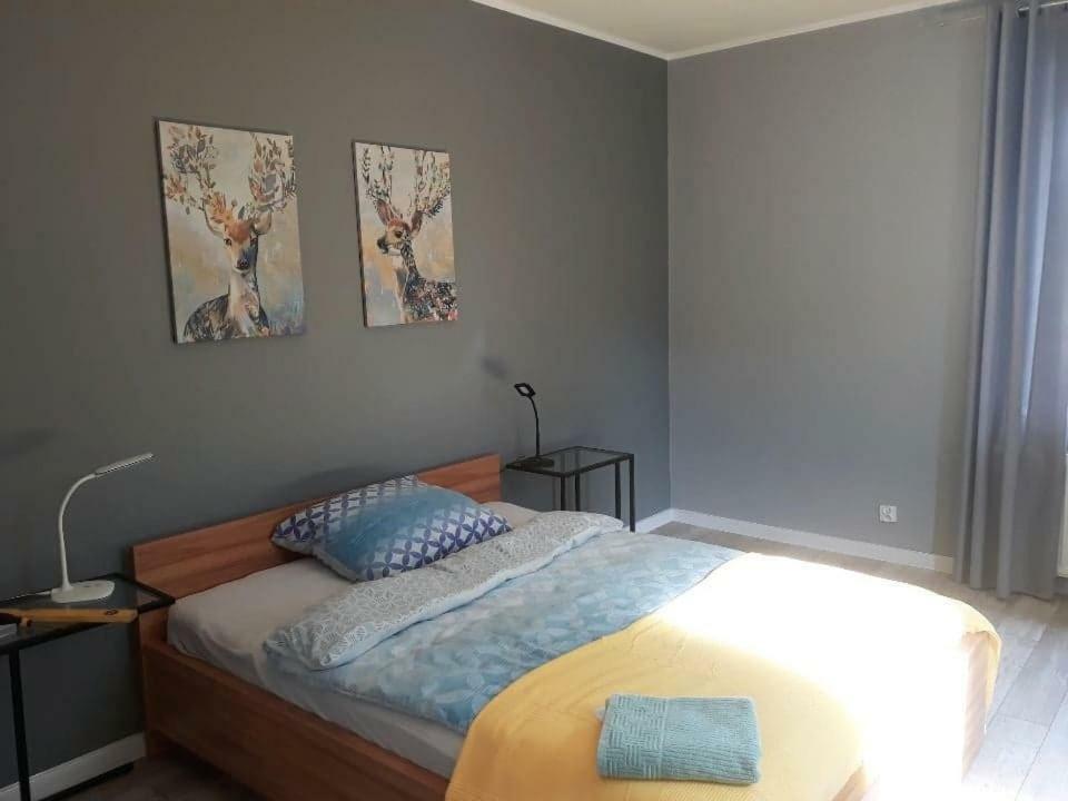 Apartment Kamienica Nad Malta- Mieszkania Nad Jeziorem Maltanskim Poznan