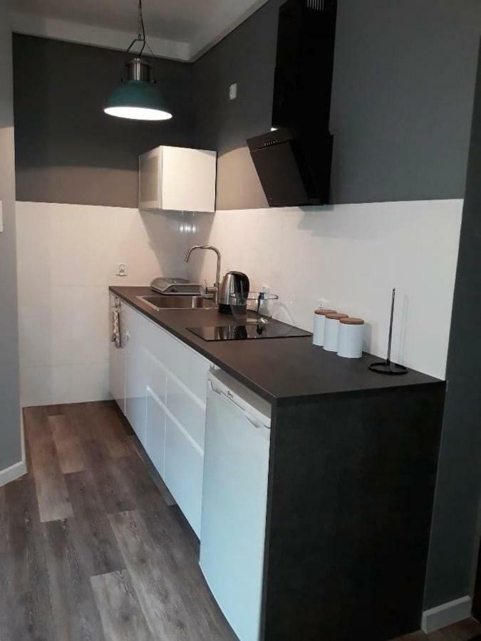 Apartment Kamienica Nad Malta- Mieszkania Nad Jeziorem Maltanskim *